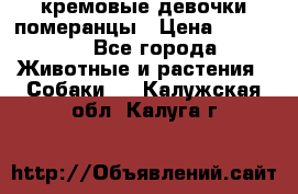 кремовые девочки померанцы › Цена ­ 30 000 - Все города Животные и растения » Собаки   . Калужская обл.,Калуга г.